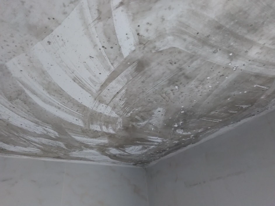 Guia Completo: Como Escolher a Melhor Tinta Antimofo para Seu Teto