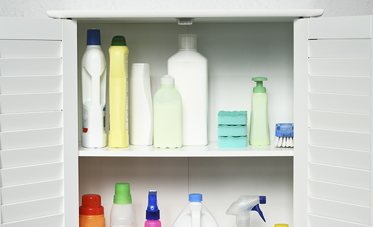 Segurança em Primeiro Lugar: Onde e Como Guardar Produtos de Limpeza Longe de Crianças e Pets