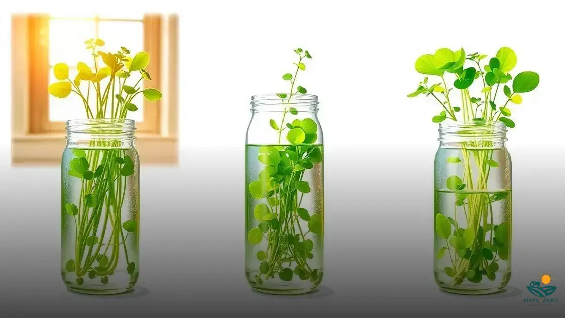 Melhores Vasos para Cultivar Agrião em Apartamento