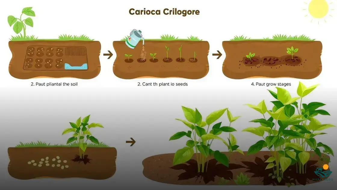 Feijão Carioca em Vaso: Dicas Essenciais para o Sucesso
