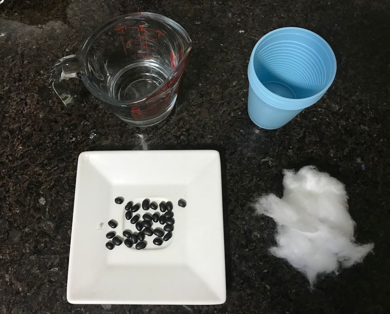 5 ideias de títulos:
1. Feijão no Algodão: O Guia Completo para uma Germinação de Sucesso.
2. Experiência Científica em Casa: Como Plantar Feijão no Algodão.
3. Desvendando a Germinação: O Que Esperar ao Plantar Feijão no Algodão.
4. Dicas Essenciais para o Plantio de Feijão no Algodão.
5. Do Algodão à Terra: O Ciclo de Vida do Feijão em Experiência.