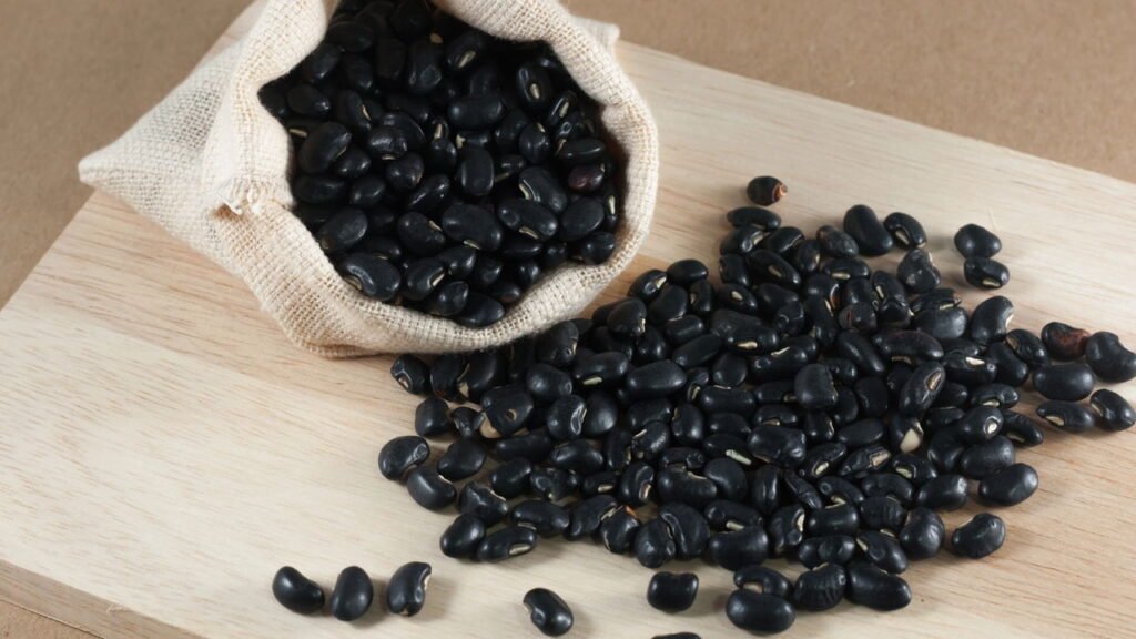 Como Identificar o Ponto Certo de Colheita do Feijão