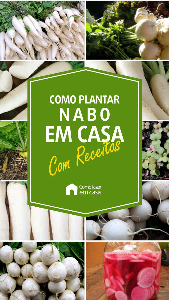 como plantar nabo