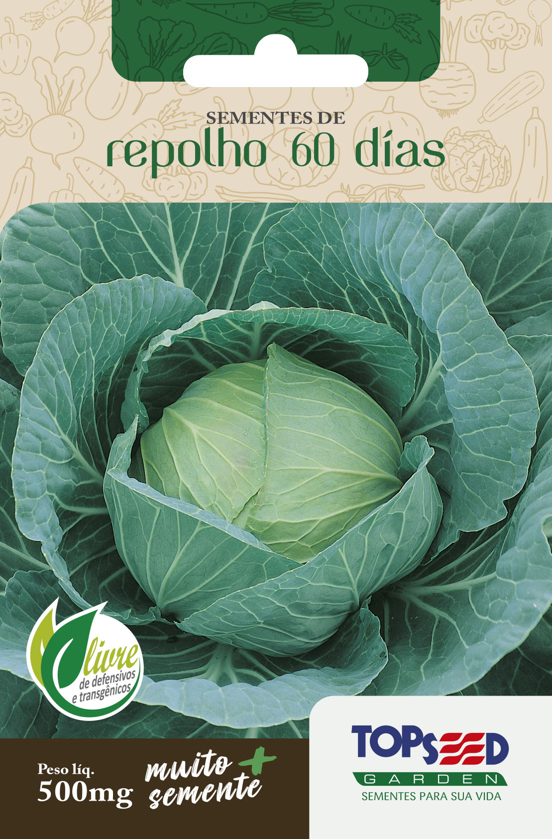 Como Plantar Repolho 60 Dias