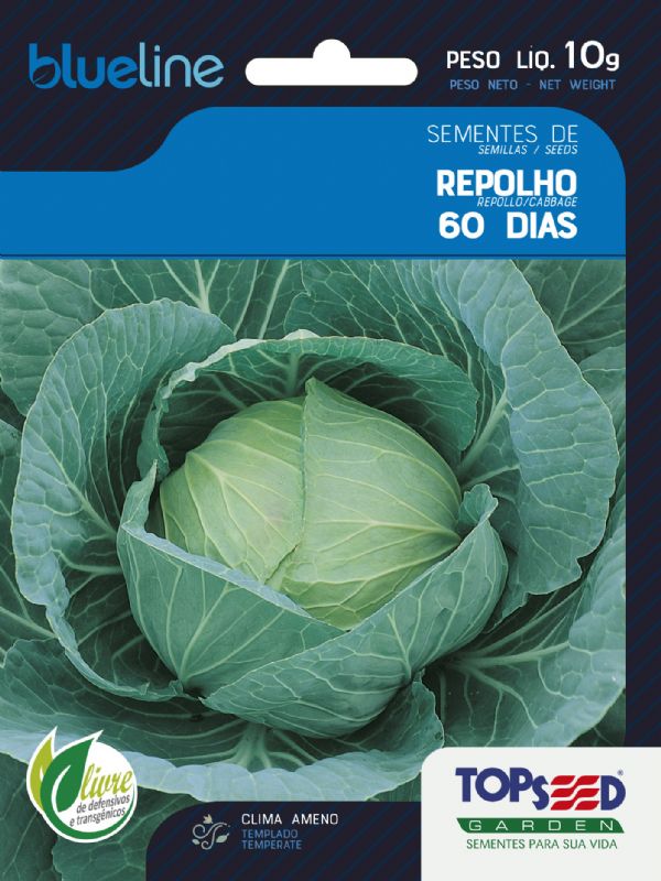 Como Plantar Repolho 60 Dias