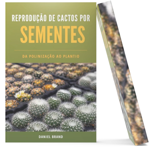 DIY: Como Fazer uma Mini Estufa Caseira para Cactos