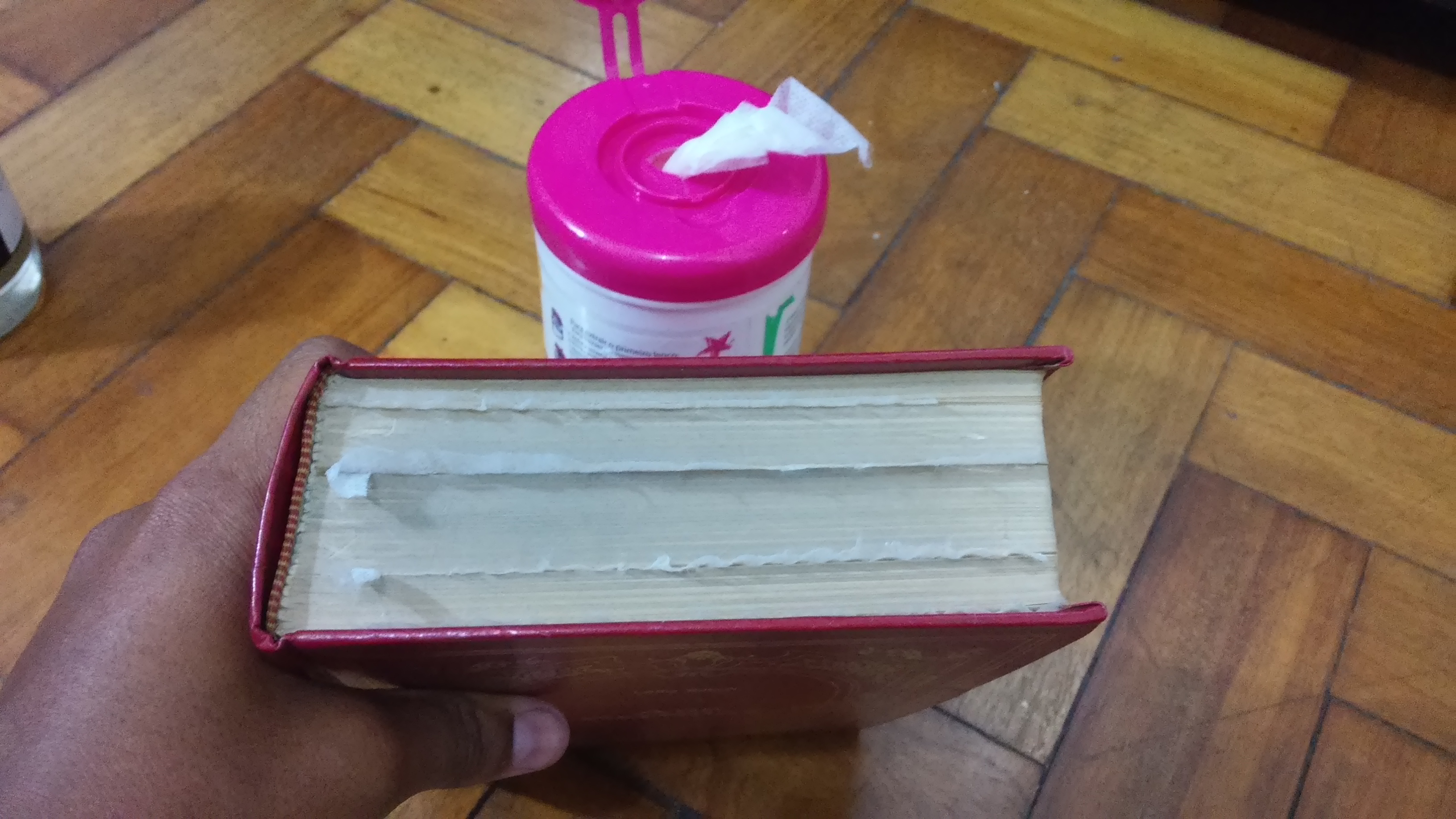 como tirar cheiro de livro velho