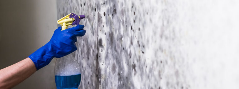 como tirar mofo de parede de banheiro