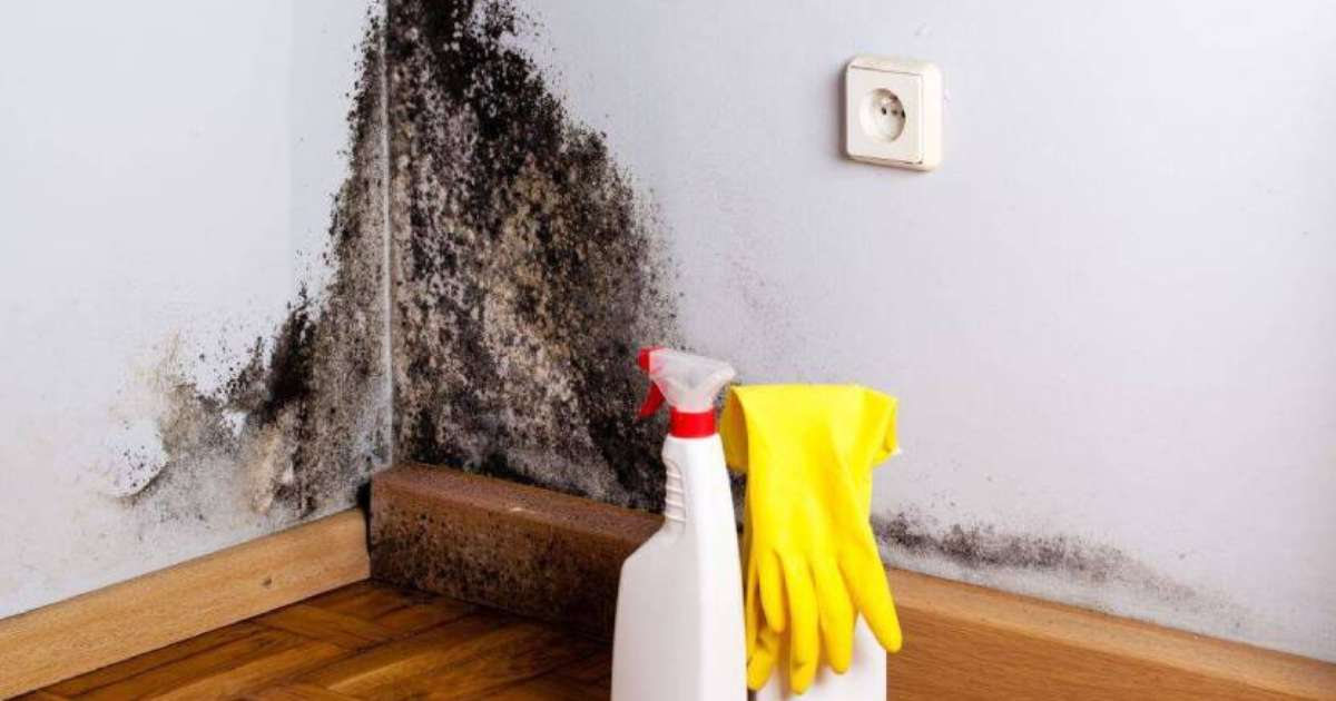 erros comuns ao tentar tirar mofo da parede