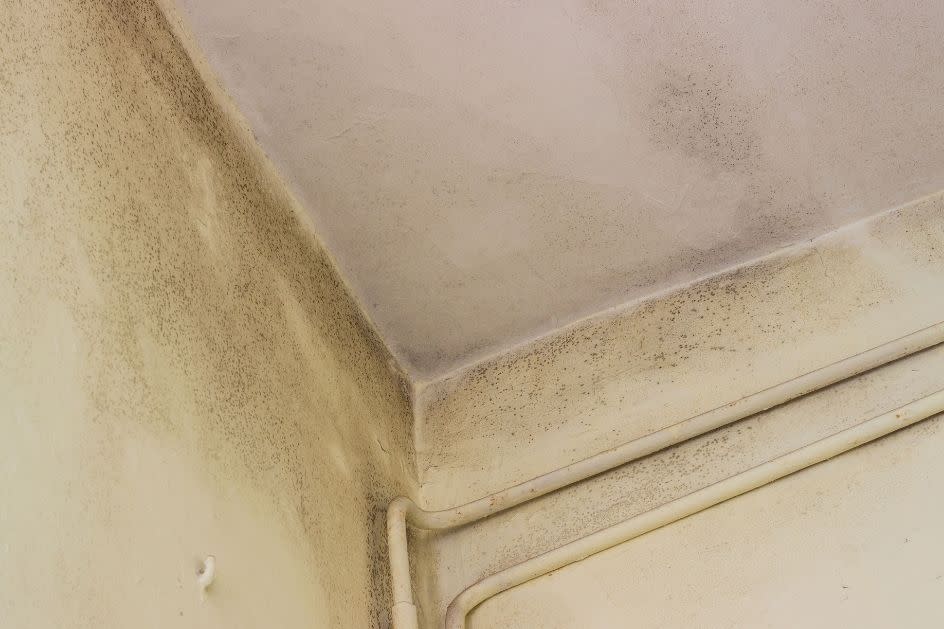 Ventilação Eficiente: Dicas para Prevenir Mofo no seu Banheiro