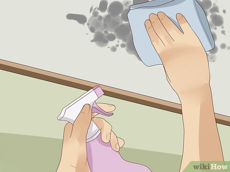 Produtos de Limpeza Essenciais para Combater o Mofo em Casa