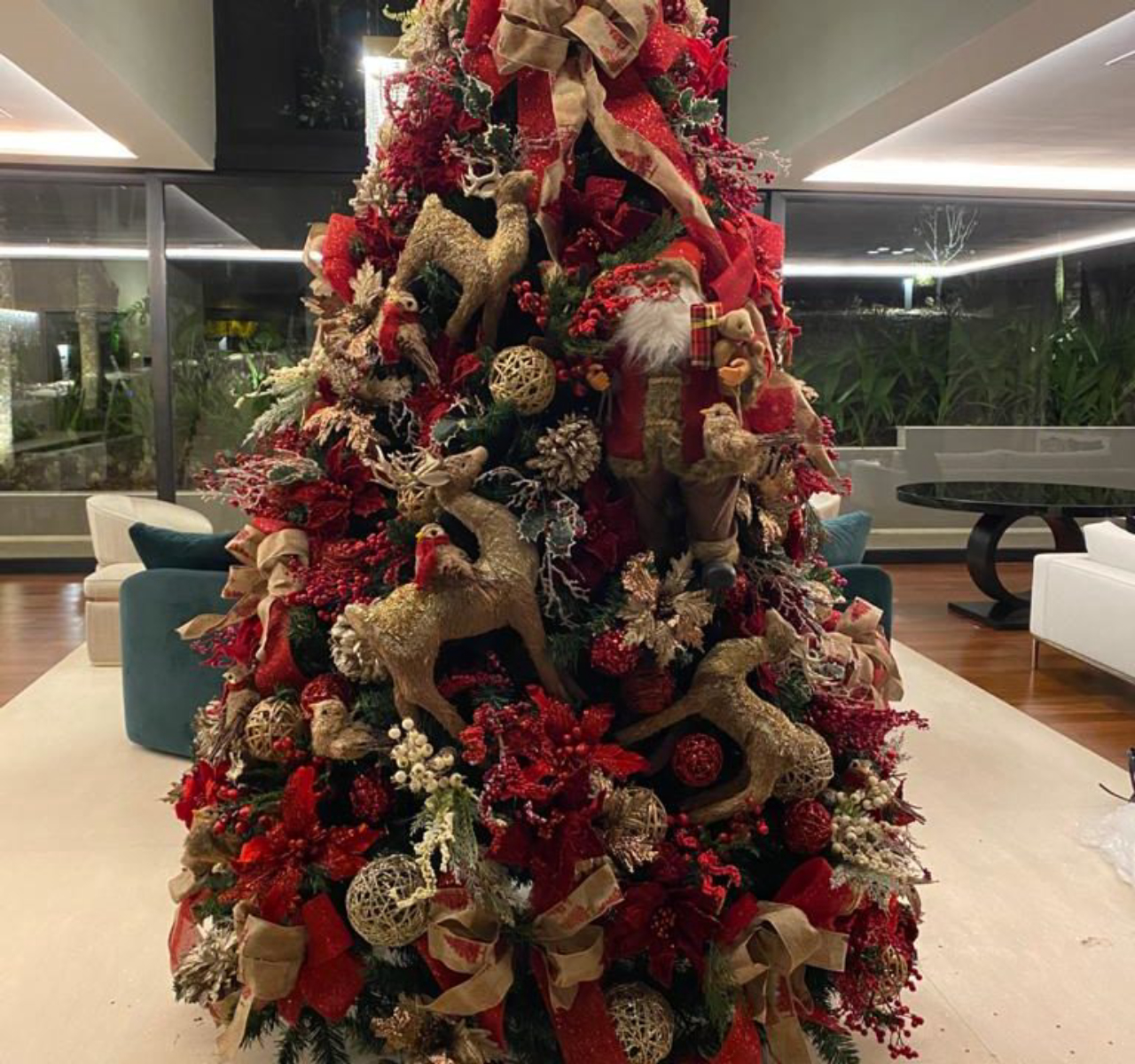 erros comuns ao comprar árvore de natal