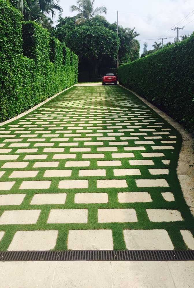 Manutenção do Concregrama: Dicas para Manter a Grama Sempre Verde