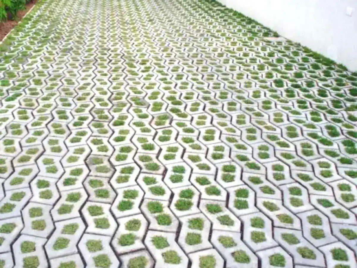 Manutenção do Concregrama: Dicas para Manter a Grama Sempre Verde