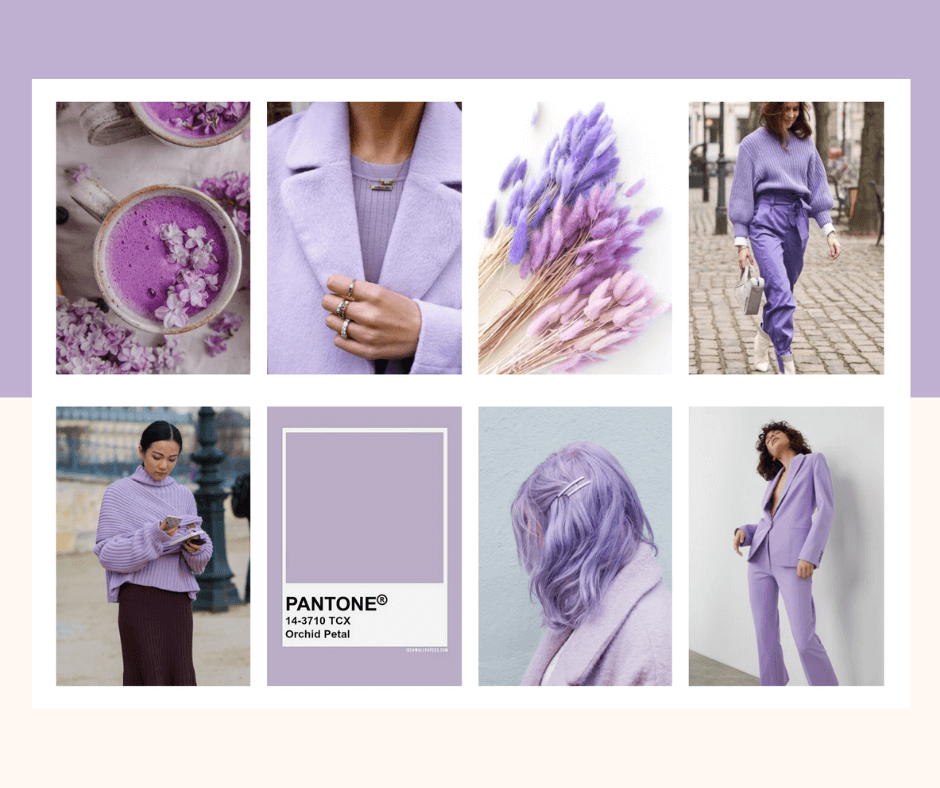 Códigos da Cor Lavanda: Hex, RGB e CMYK para Designers e Criativos