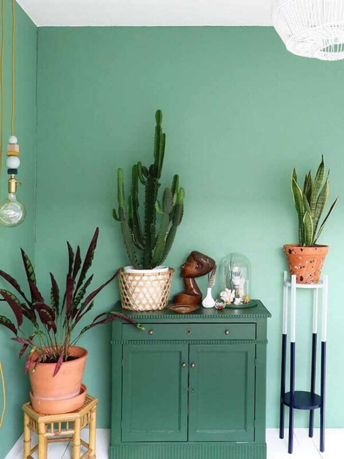 inspiração decoração com verde musgo