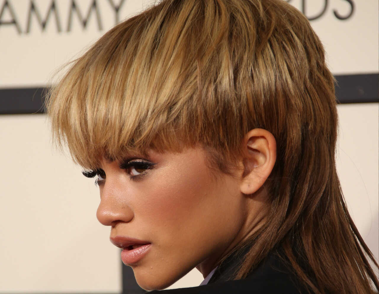 corte de cabelo mullet