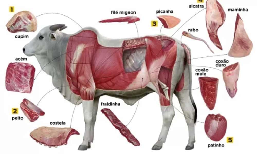 corte de carne bovina