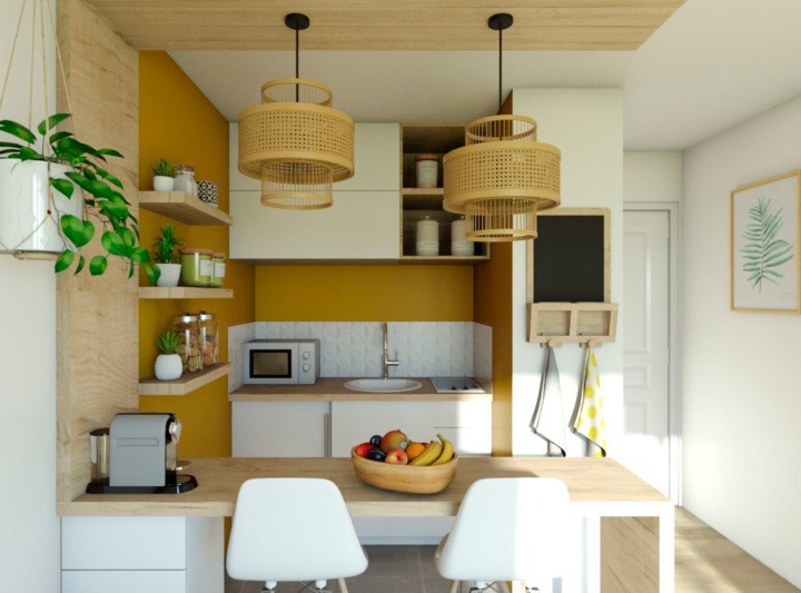 Guia Completo de Plantas para Cozinhas Boho: Quais Escolher e Como Cuidar