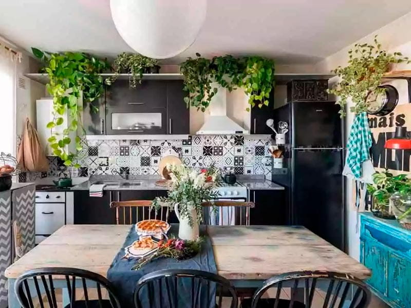 Guia Completo de Plantas para Cozinhas Boho: Quais Escolher e Como Cuidar