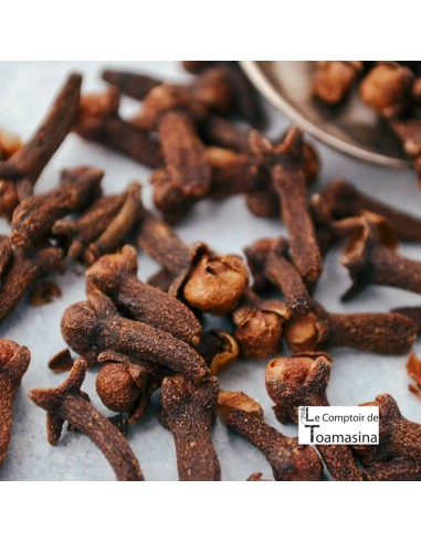 Os benefícios do eugenol para a saúde bucal e o combate a bactérias