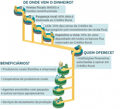 Guia Completo do PRONAF: Como Acessar o Crédito Rural para sua Propriedade