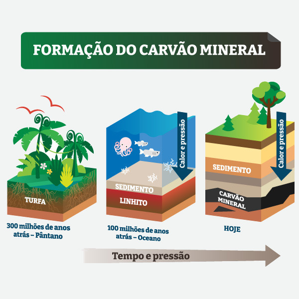 de onde vem o carvão