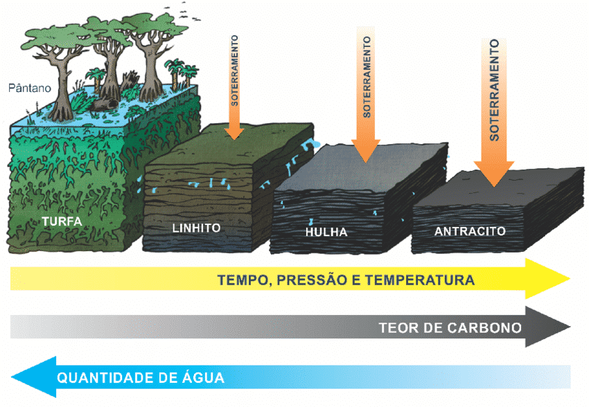 Guia completo para escolher o melhor carvão vegetal para seu churrasco