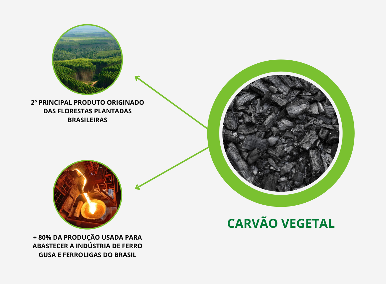 Diferenças cruciais entre carvão mineral e carvão vegetal