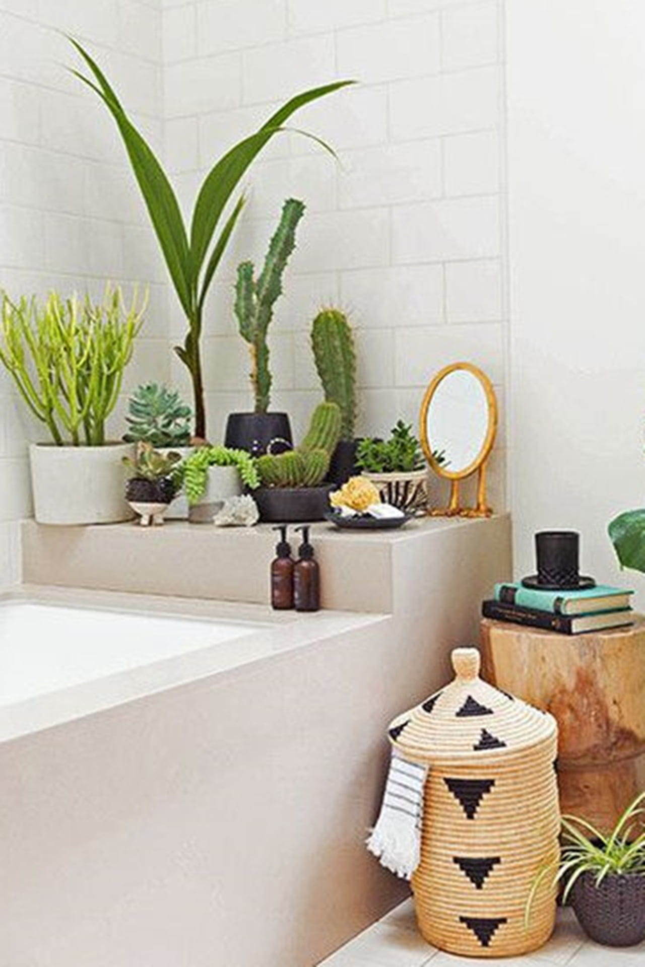 plantas naturais ou artificiais para banheiro sem janela