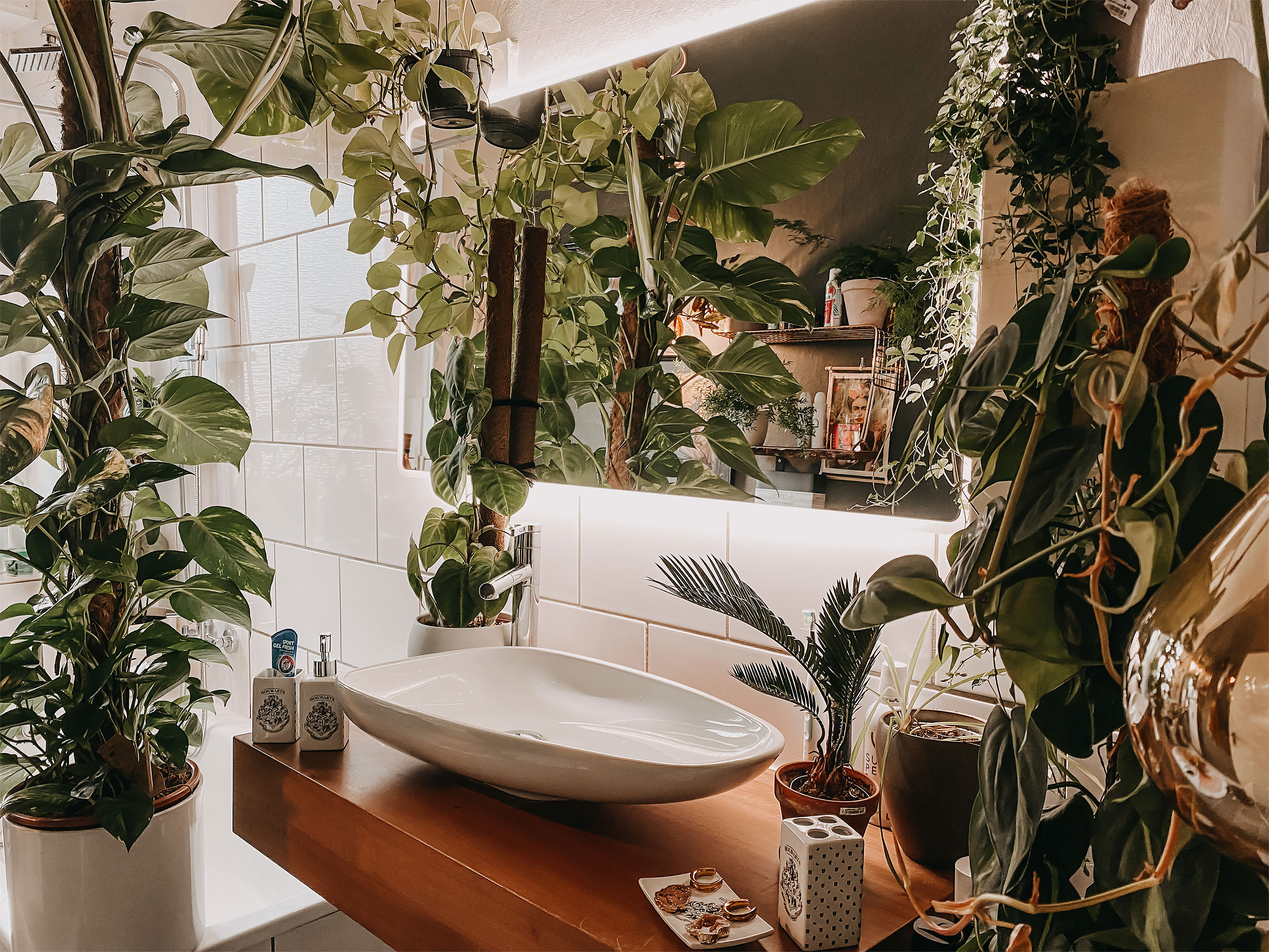 decoração de banheiro harry potter