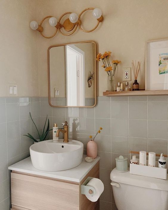 Como escolher as melhores plantas para banheiros úmidos