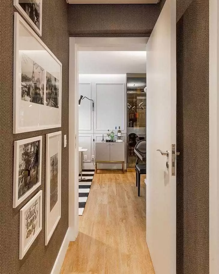 plantas de interior para corredor com pouca luz