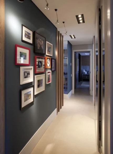 plantas de interior para corredor com pouca luz