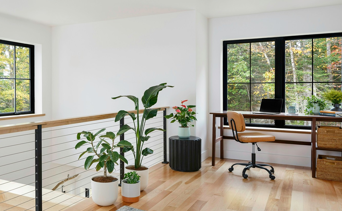 como montar um jardim vertical de suculentas para escritório