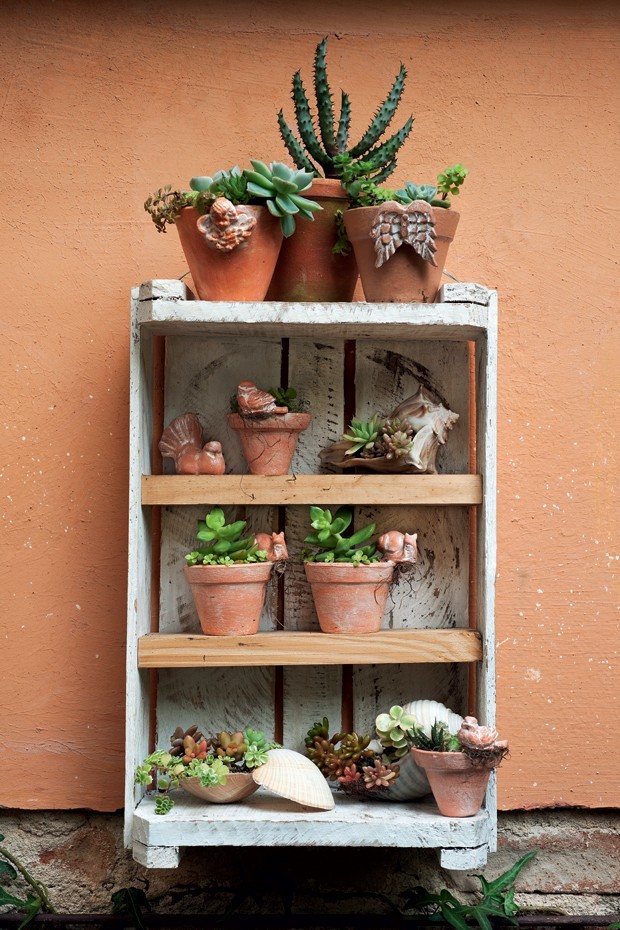 quanto custa decorar escritório com suculentas