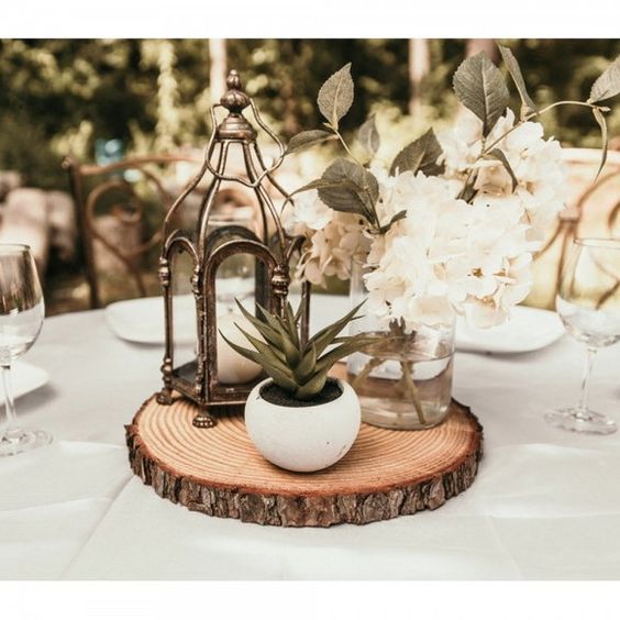 como montar um jardim vertical de suculentas para escritório