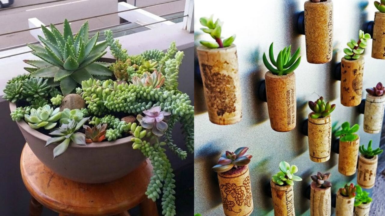 ideias de decoração de escritório com suculentas pequenas