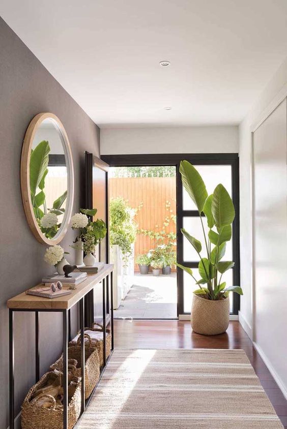 As Melhores Plantas para o Hall de Entrada: Beleza e Proteção