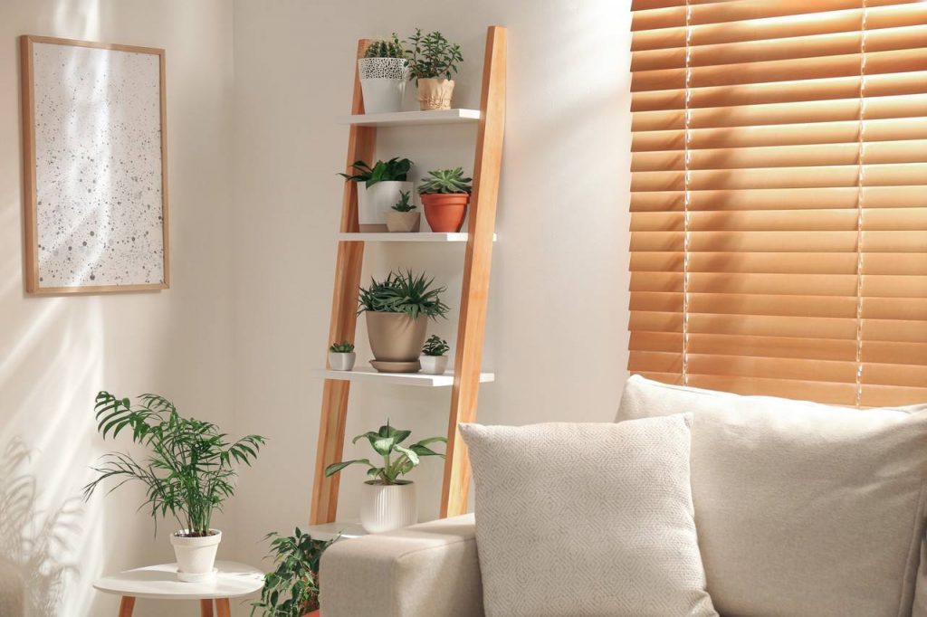 decoracao de sala com plantas pendentes