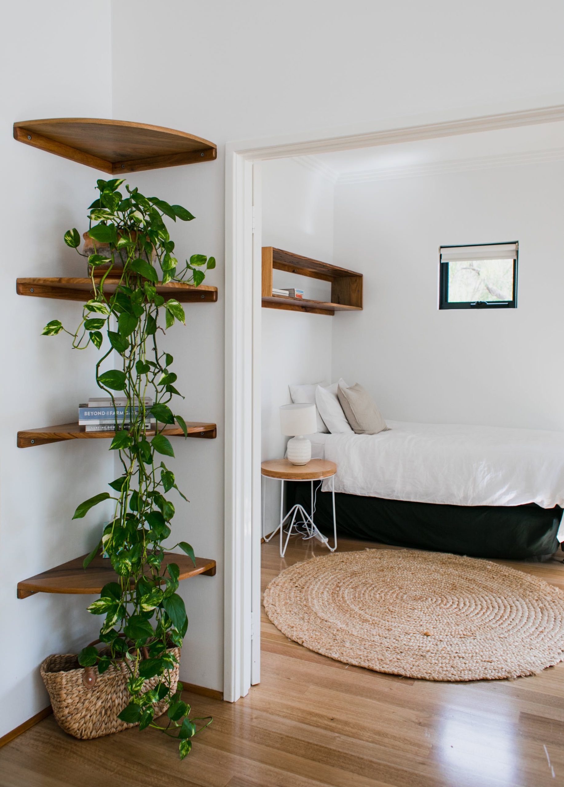 quanto custa decorar sala com plantas pendentes