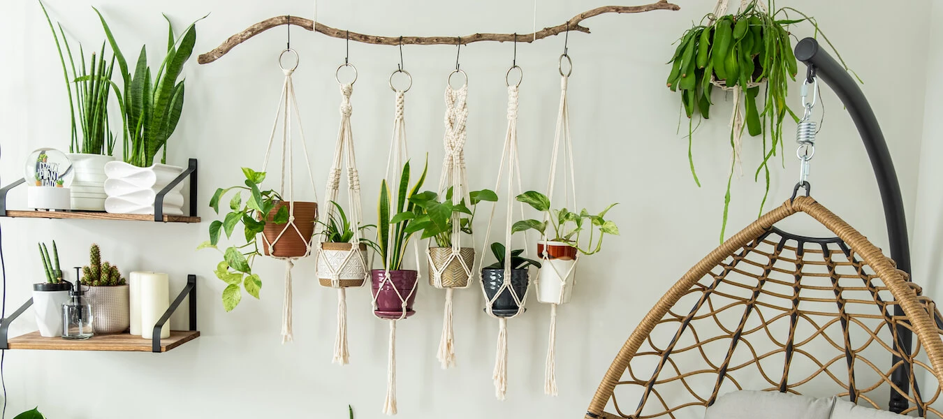 quanto custa decorar sala com plantas pendentes