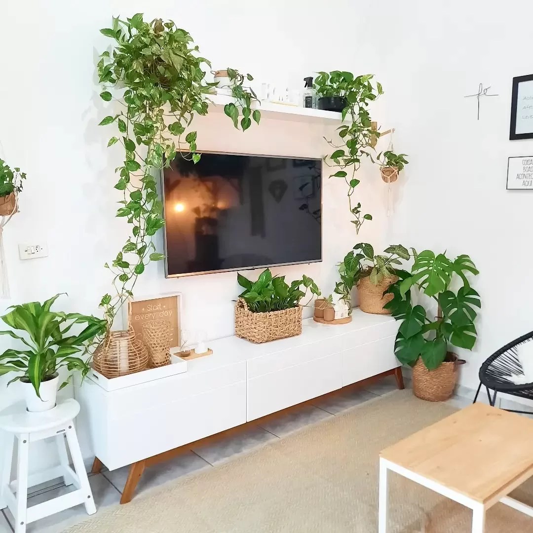 decoracao de sala com plantas pendentes