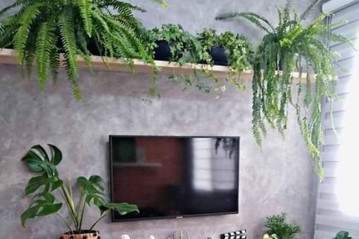 plantas pendentes vs plantas de chão para sala