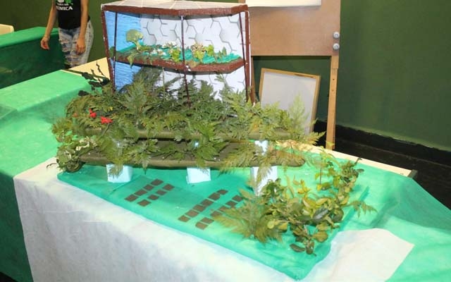 Passo a Passo: Montando um Terrário com Garrafa PET para a Feira