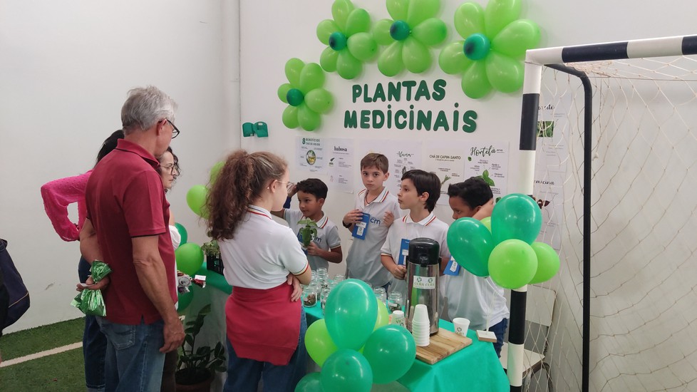 Guia Completo de Materiais Reciclados para Projetos Científicos