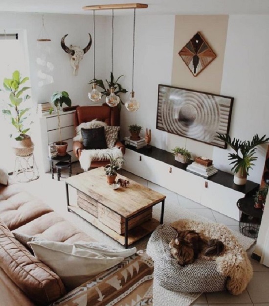 Guia Completo de Plantas para sua Sala Boho-Hippie
