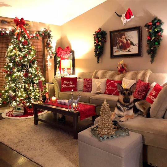 ideias de decoração de sala para o natal simples e barata