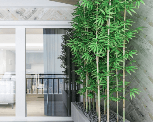 erros comuns ao comprar decoração de sala na shopee