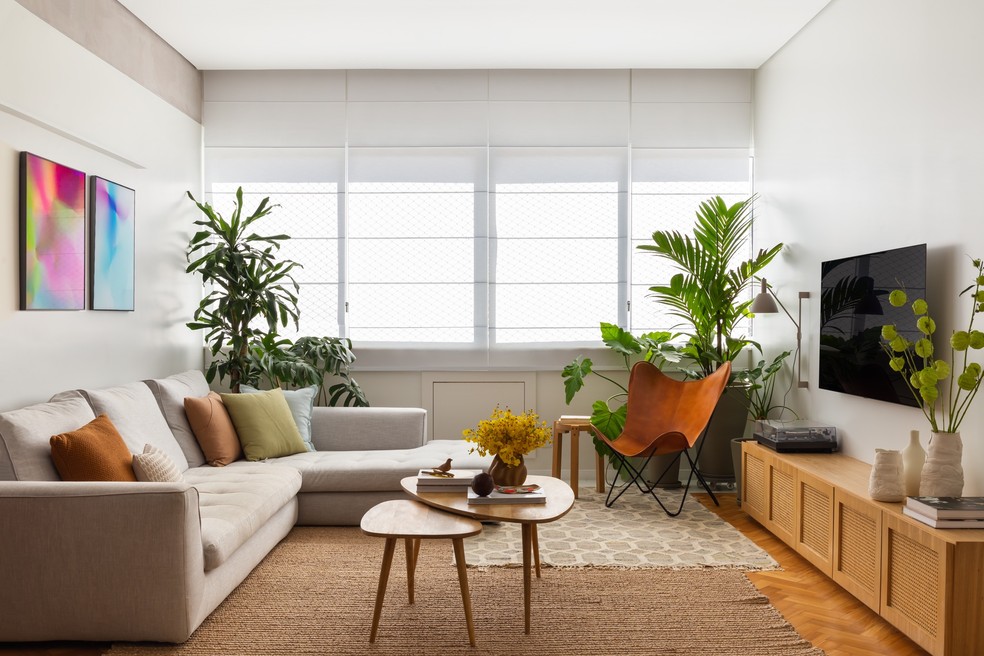 erros comuns decorar sala moderna